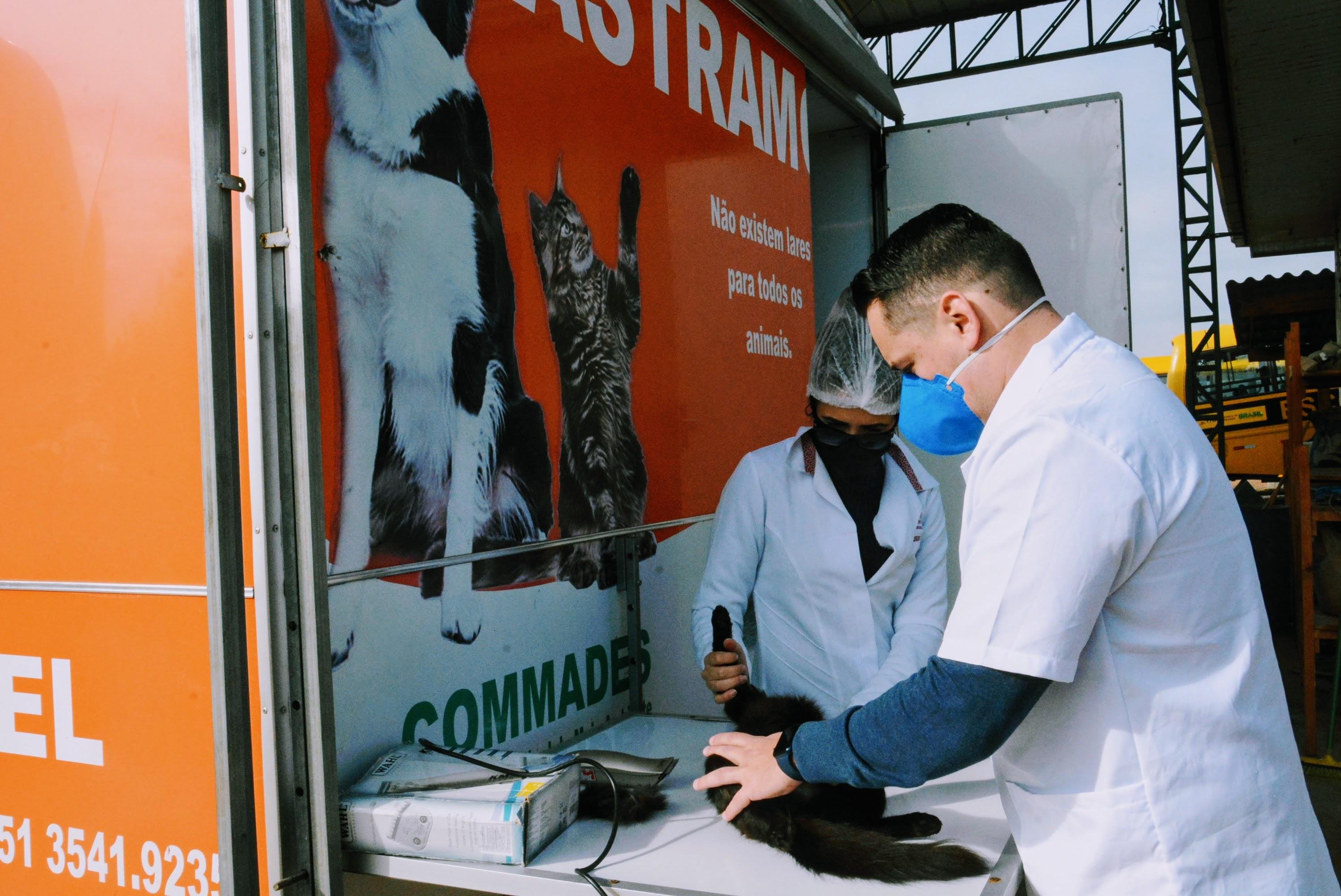 Projeto pretende castrar em torno de 80 animais por m&ecirc;s em seu pico de funcionamento