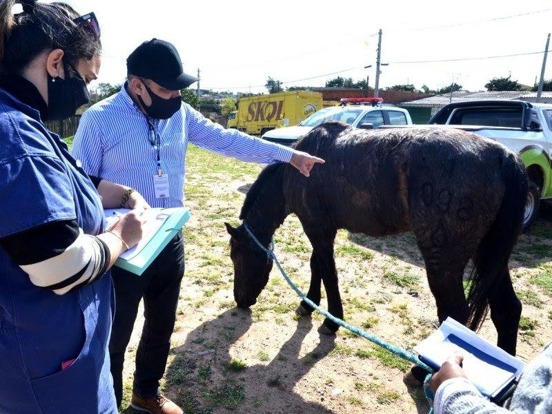O trabalho ocorreu na Vila Alto da Boa Vista, regi&atilde;o Oeste do munic&iacute;pio