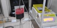 Secretaria de Saúde de Eldorado do Sul, em parceria com o Hemocentro/RS, promove uma campanha de doação de sangue