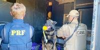 Cão de faro Axel deu sinal positivo para a droga dentro de caixas com equipamentos de som