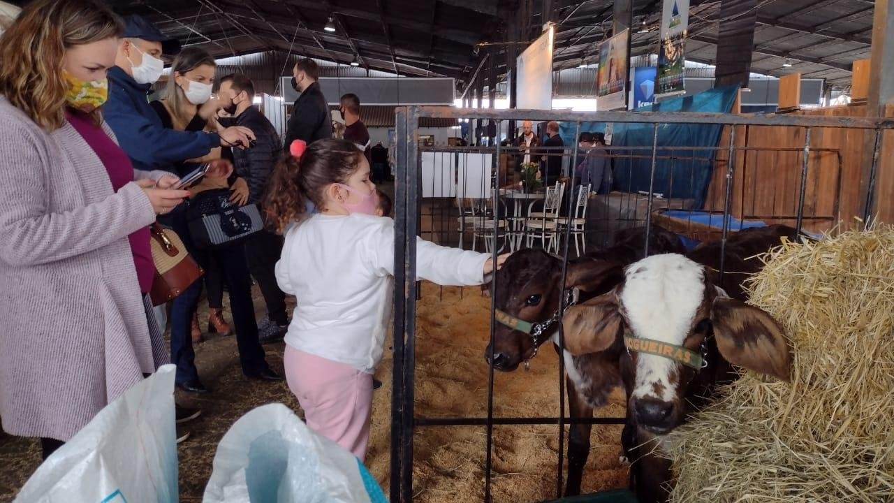 Com chuva, fam&iacute;lias aproveitam para visitar &aacute;reas cobertas de exposi&ccedil;&atilde;o de animais