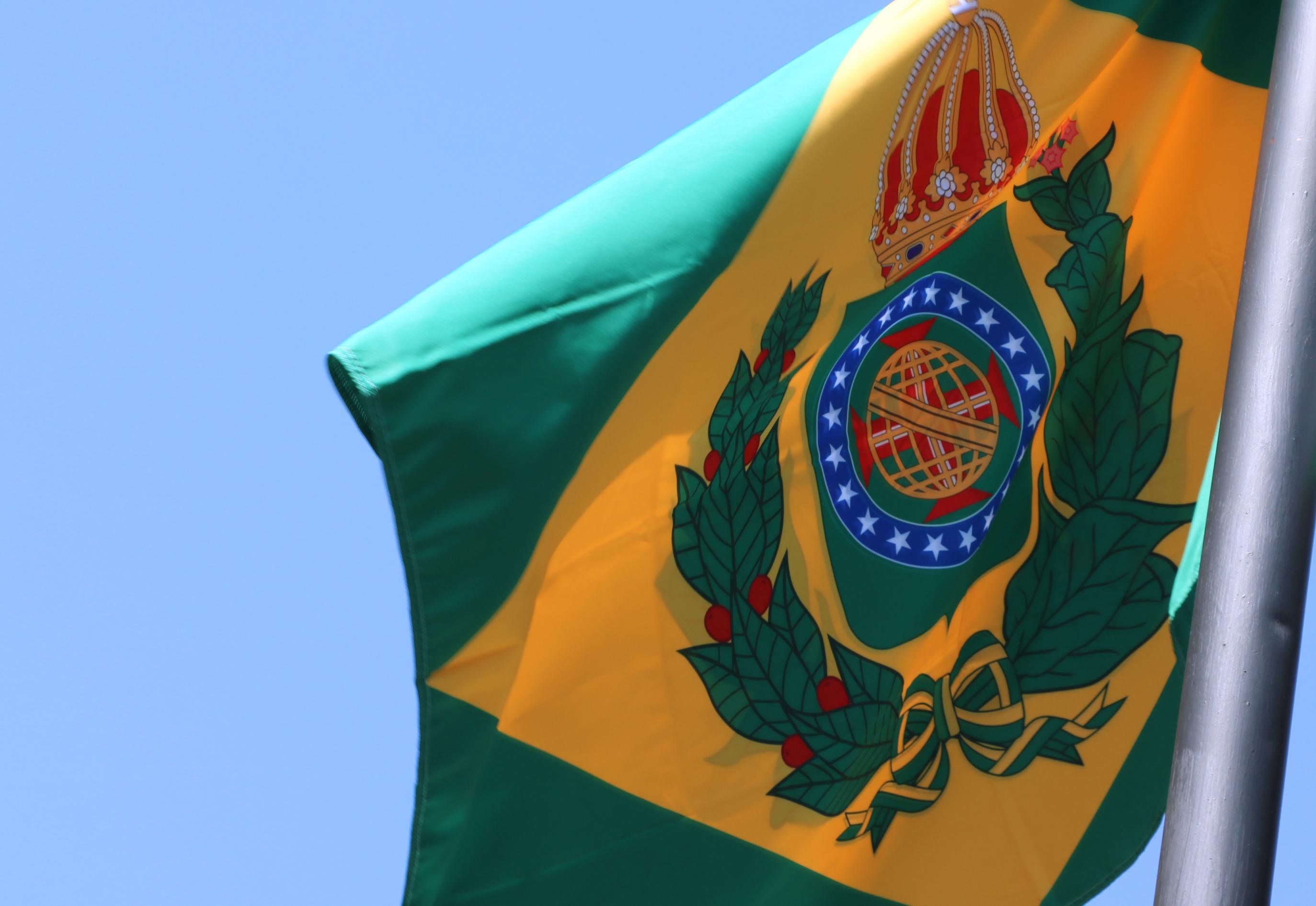 Fux enfatizou que pavilh&atilde;o n&atilde;o faz parte dos s&iacute;mbolos oficiais