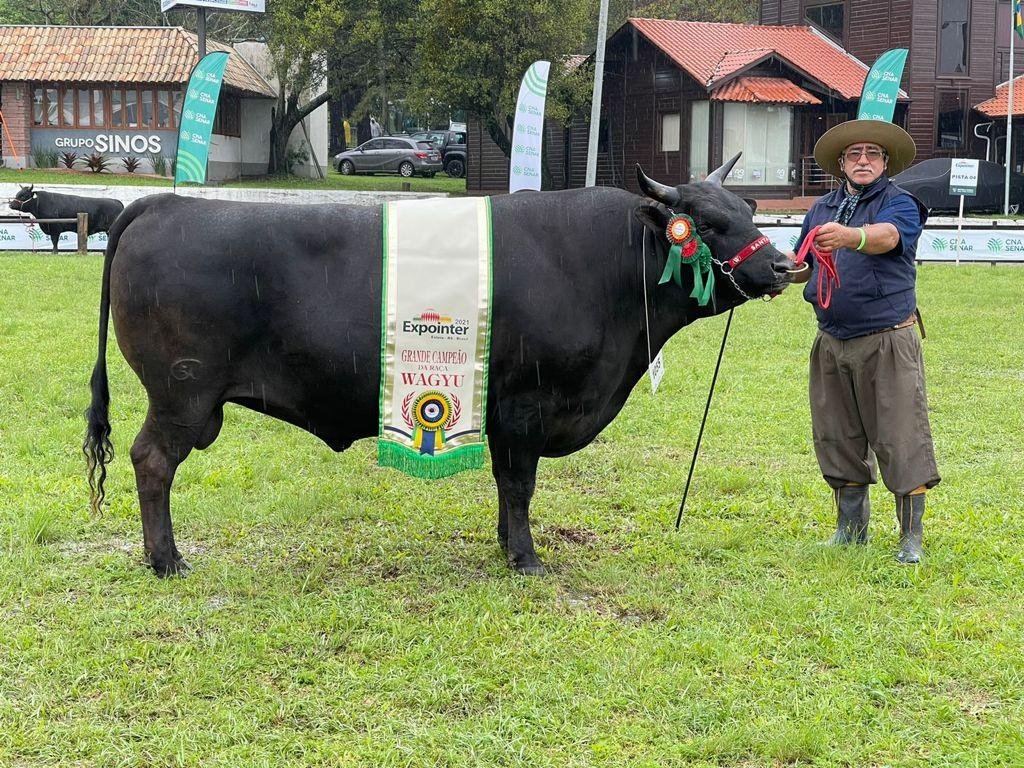 Grande Campe&atilde;o Wagyu