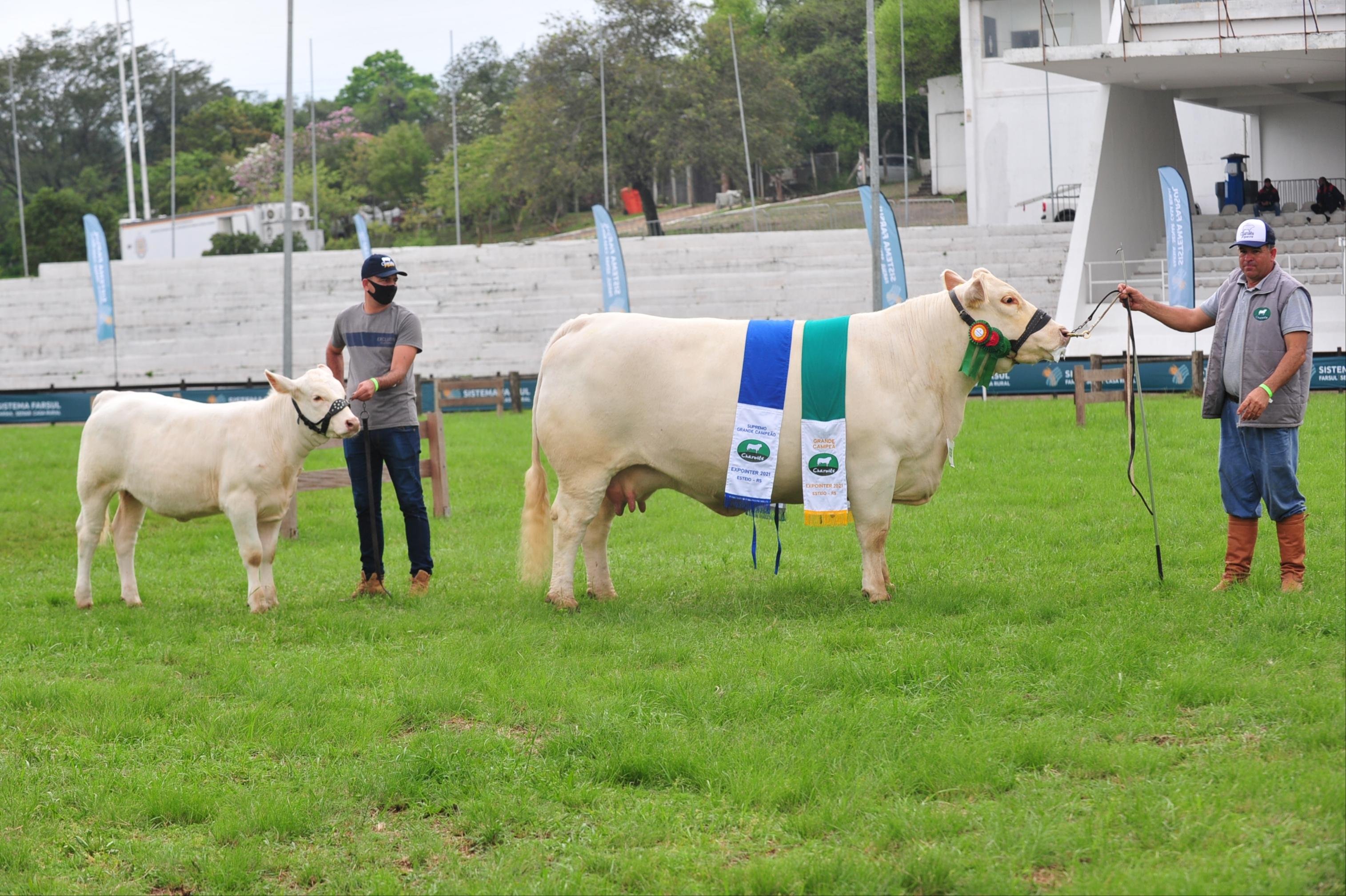 Suprema campe&atilde; e sua cria, terneira de 6 meses