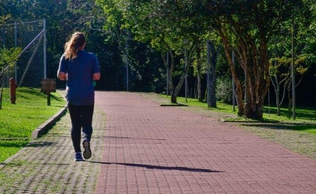 As trilhas t&ecirc;m aproximadamente 40 minutos