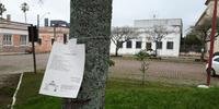 Quem esteve na Praça Carlos Telles, em Bagé, pode ler os poemas que foram presos em 35 árvores do local