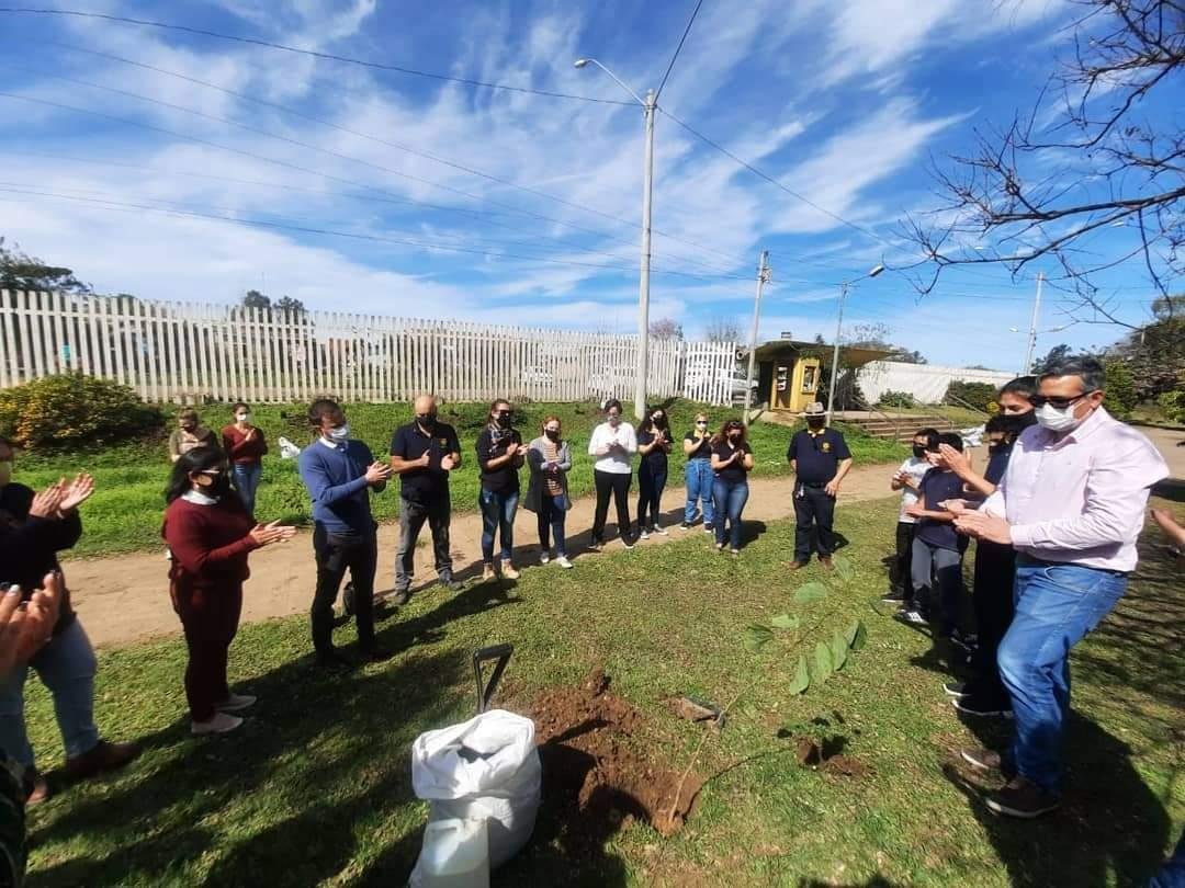 Foram plantadas pelos alunos 28 mudas no primeiro dia