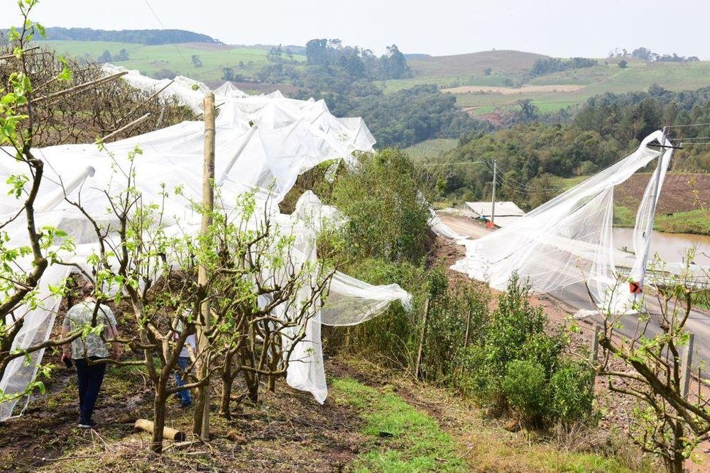 Caxias do Sul registrou preju&iacute;zos por conta do temporal