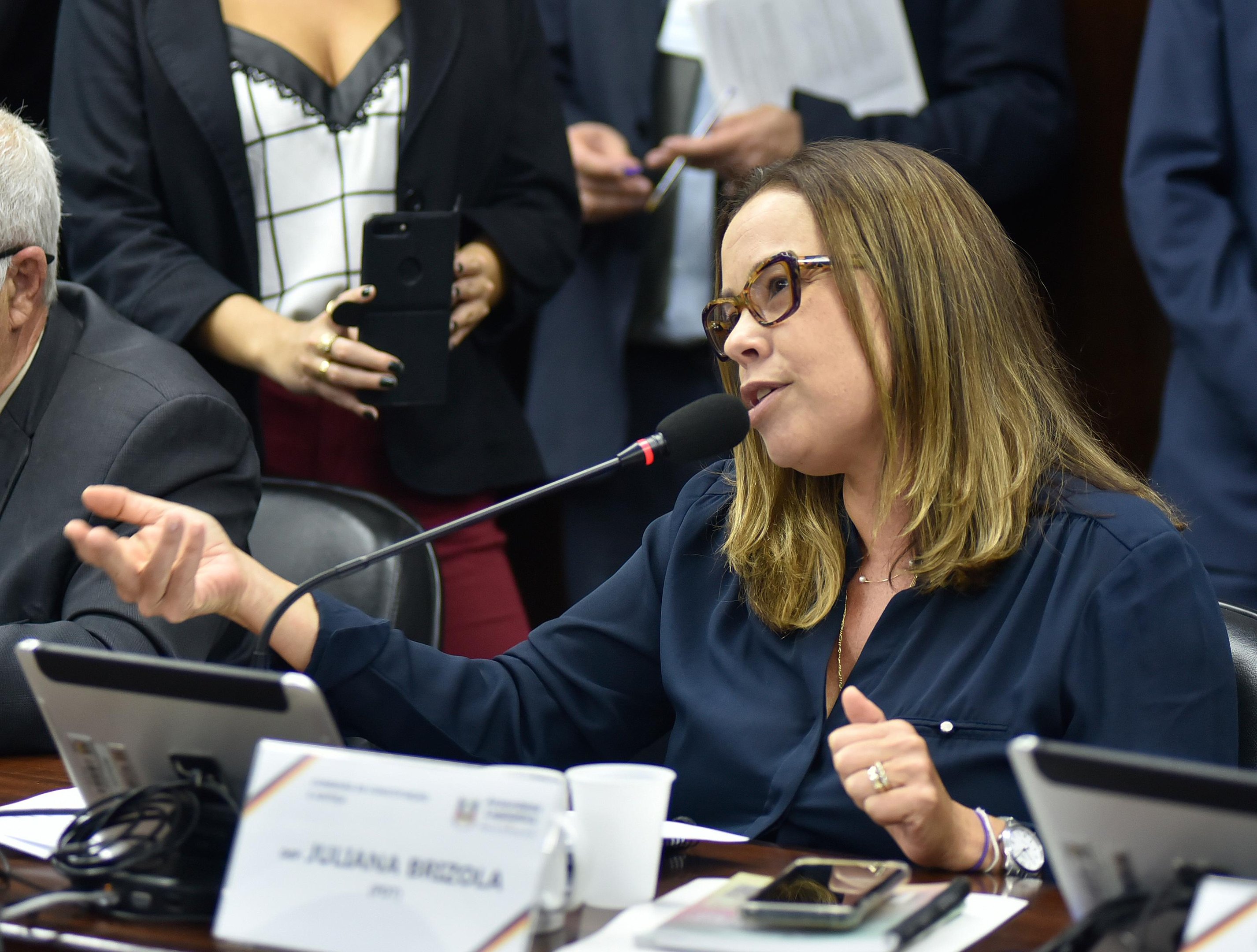 Juliana Brizola &eacute; l&iacute;der da bancada do PDT na Assembleia