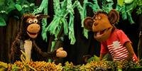 Espetáculo teatral ‘O Segredo da Floresta’ será apresentado em escolas