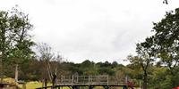 Uma bucólica ponte de madeira do campo inglês que inspirou o autor das aventuras do Ursinho Pooh foi vendida por mais de 131.000 libras.