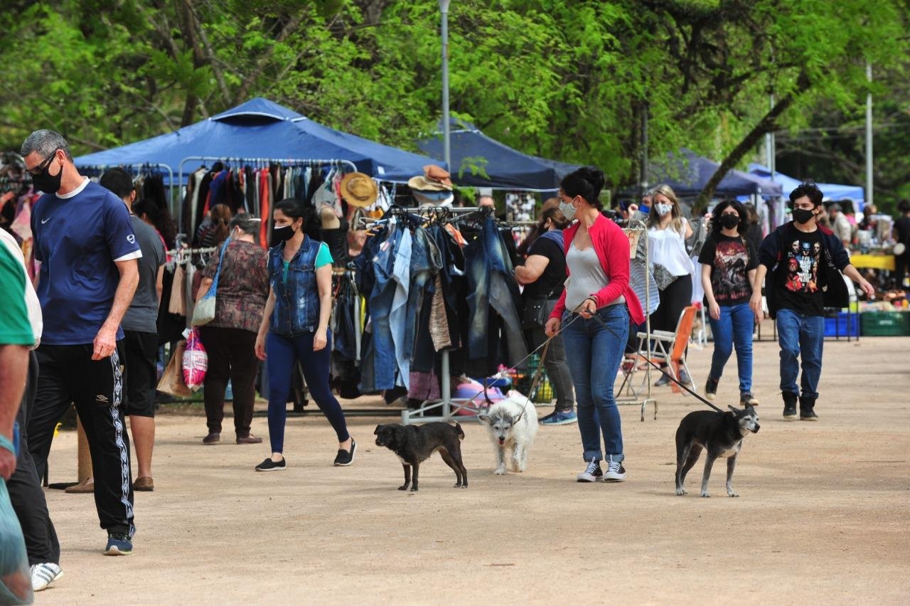 Valor das vendas &eacute; usado para castra&ccedil;&otilde;es, vacinas e cuidados m&eacute;dicos de c&atilde;es e gatos resgatados de ruas