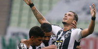 Botafogo não deve manter Rafael Navarro para 2022