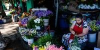 Floristas relacionam movimento fraco à crise econômica gerada pela pandemia de coronavírus