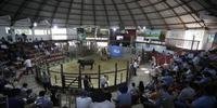 Remates da gado estão entre as principais atrações do evento de Lavras do Sul