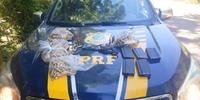 Veículo com ilícito havia sido furtado em junho deste ano em São Leopoldo