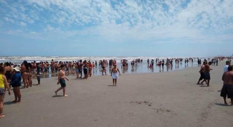 Caso ocorreu no litoral norte de S&atilde;o Paulo