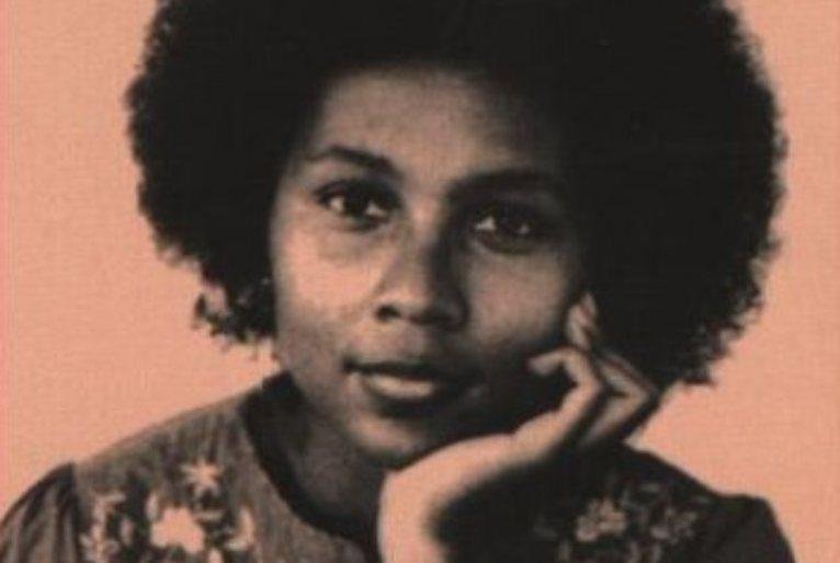Imagem da autora usada na capa de seu livro "O feminismo &eacute; para todo mundo: Pol&iacute;ticas arrebatadoras"