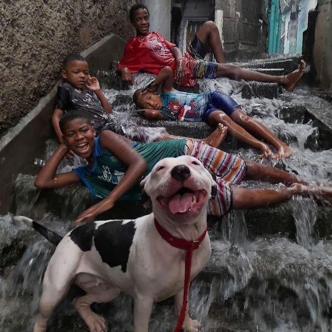 A foto foi registrada na &uacute;ltima sexta-feira (17), e gerou diversas curtidas, coment&aacute;rios e compartilhamentos
