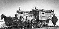 Cruz Vermelha da Itália socorreu as vítimas da peste e da fome na Rússia.