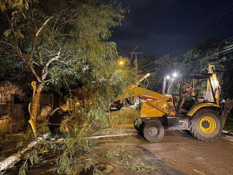 Houve queda de &aacute;rvores, destelhamento de resid&ecirc;ncias, queda no fornecimento de eletricidade e pontos de alagamentos