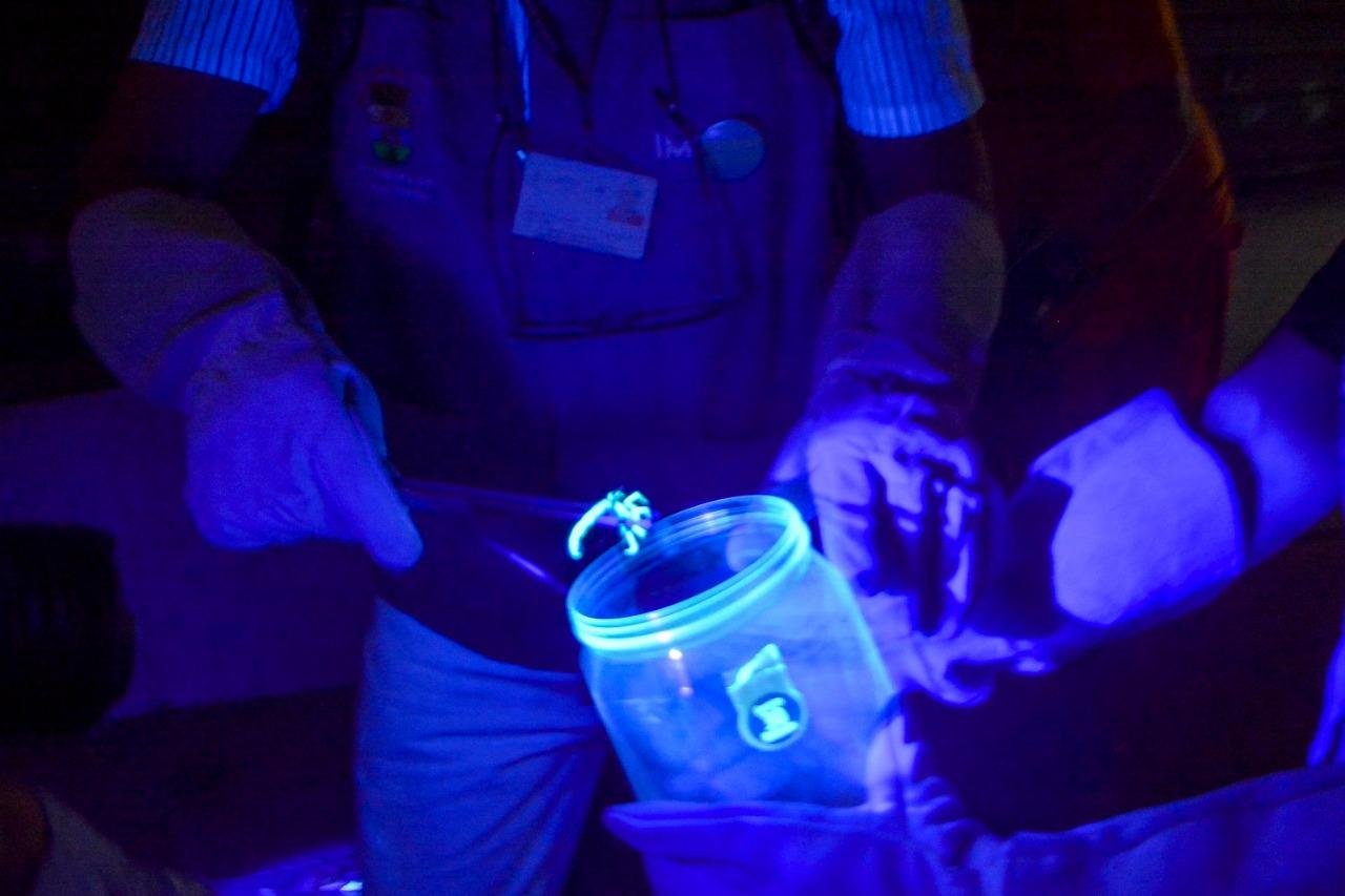 Luz ultravioleta &eacute; utilizada para auxiliar na busca