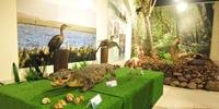 Exposição apresenta a biodiversidade do litoral gaúcho