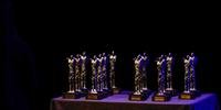 Os cobiçados troféus que serão entregues aos vencedores em oito categorias, ao Livro do Ano e a quatro destaques especiais