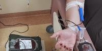 A média de doações diárias no local fica entre 40 e 50 bolsas de sangue
