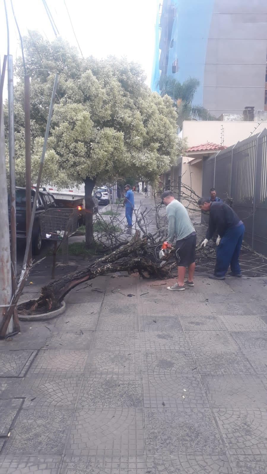 Chuva atingiu, em determinados pontos da cidade, 100mm e os ventos registraram rajadas de 72 km/h