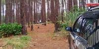 BMW da vítima foi abandonada no meio de plantação de pinus