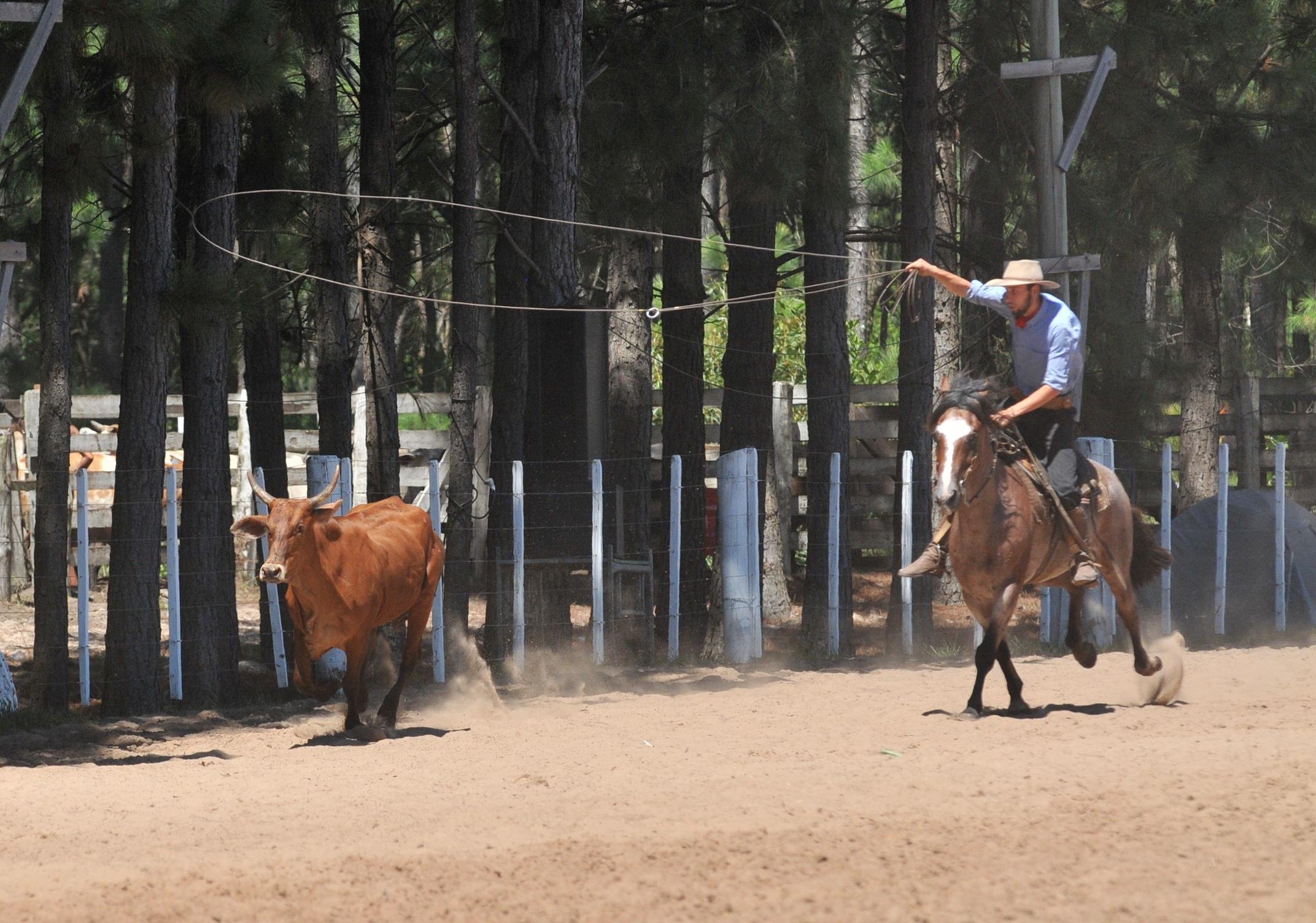 Rodeios tamb&eacute;m est&atilde;o na lista de eventos que dever&atilde;o cumprir a instru&ccedil;&atilde;o