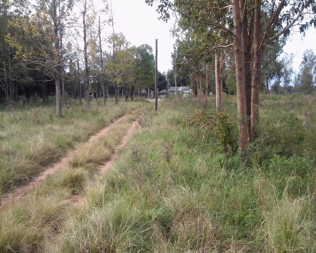 Trabalhos de manuten&ccedil;&atilde;o e limpeza come&ccedil;am nesta segunda na Barragem Sanchuri