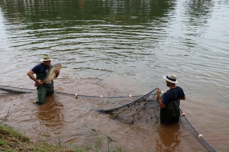 Chuva e temperaturas amenas ajudaram na recupera&ccedil;&atilde;o dos viveiros de pescados no interior do Estado