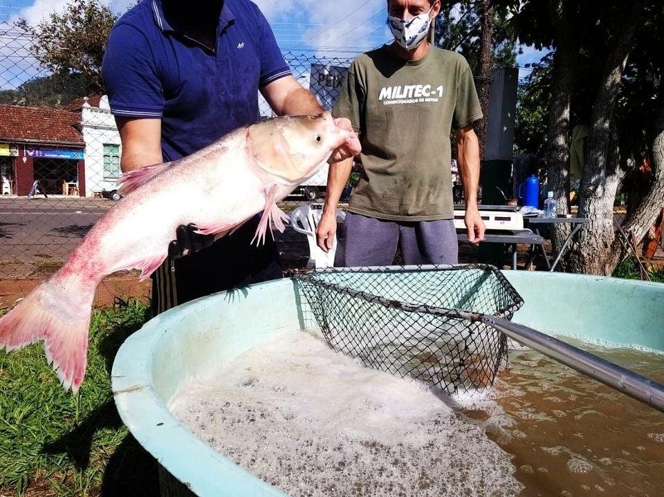 Atividade ocorrer&aacute; em 11 locais de venda