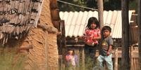Insegurança alimentar assola aldeias indígenas