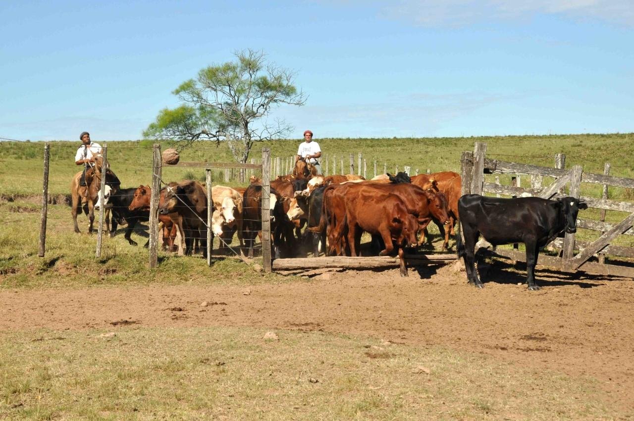 Evento acontece no Parque de Exposi&ccedil;&otilde;es Assis Brasil, em Esteio
