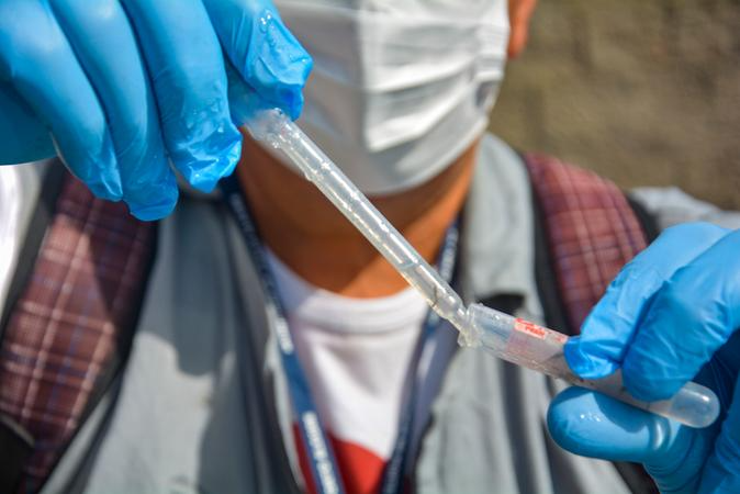 Mosquito Aedes aegypti, causador da dengue, se reproduz em &aacute;gua limpa parada
