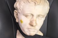 Em 2018, a norte-americana adquiriu um busto em um brechó pelo valor de 35 dólares e levou o objeto embora preso ao cinto de segurança do carro