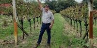 José Milani, produtor de Garibaldi, garantiu colheita de 240 mil quilos de uva na safra 2021/2022, passando incólume pelos efeitos que a estiagem no Rio Grande do Sul teve sobre a cultura
