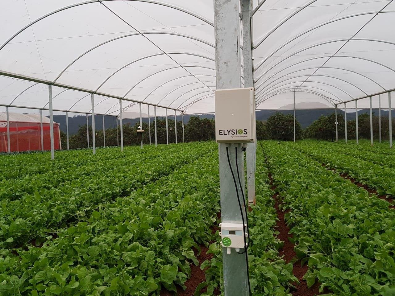 De acordo com o Mapa, 26 mil agricultores, de todo o pa&iacute;s, j&aacute; integram o cadastro de produtores de org&acirc;nicos do minist&eacute;rio