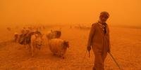 Iraque é atingido por tempestade de areia