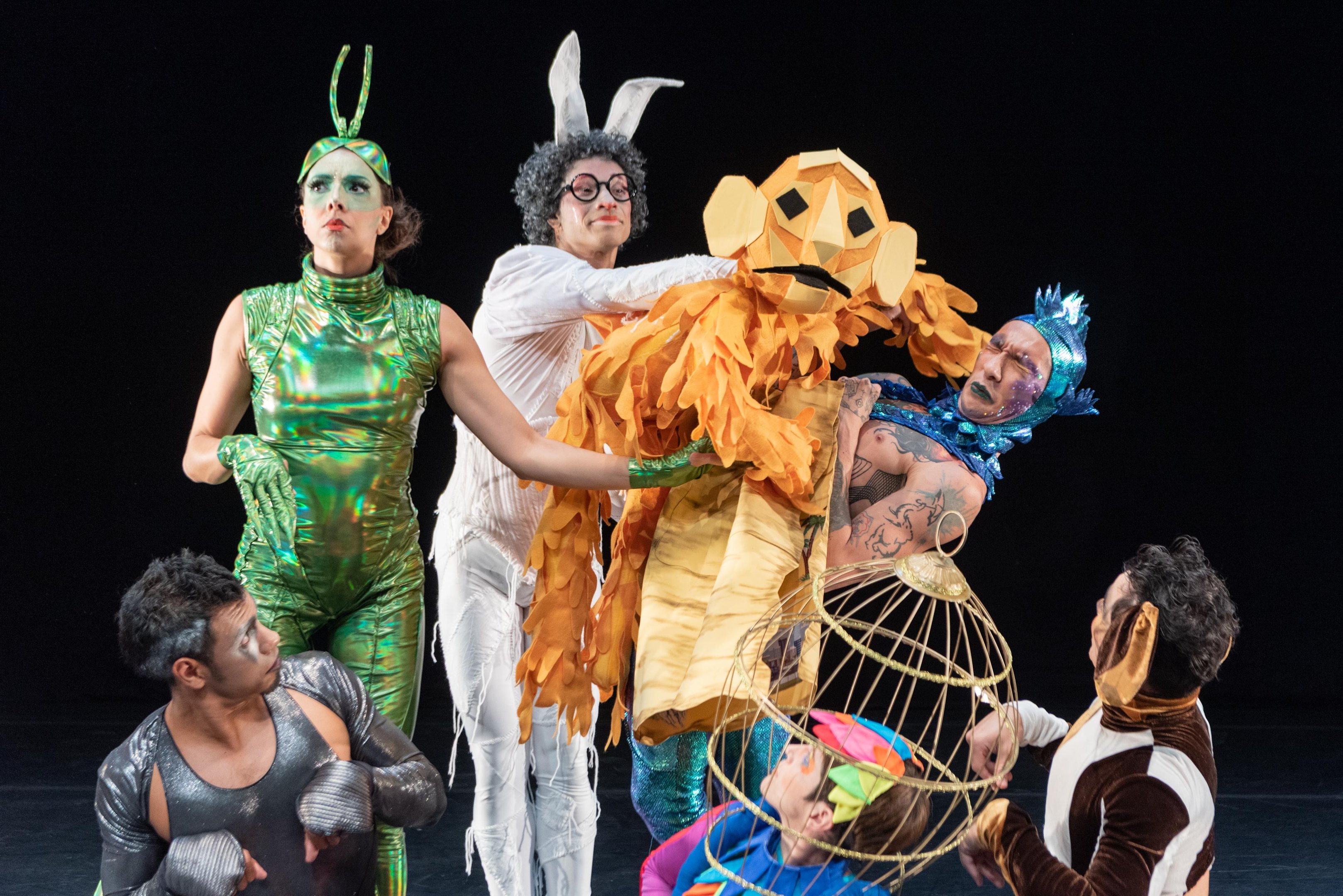 Lucinha Lins (Elisa, a jabuti aniversariante), Reynaldo Gianecchini (Lauro, o coelho sabich&atilde;o), Jos&eacute; Loreto (Dalton, o cavalo destemido), Mateus Solano (Fel&iacute;cio, o macaco astuto), Juliana Alves (Shirley, a bailarina cisne) e Jefferson Schroeder (Alberto, o c&atilde;o inquieto), entre outros, emprestam suas vozes aos personagens.
