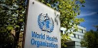 Organização Mundial da Saúde acompanha de perto surto de varíola do macaco