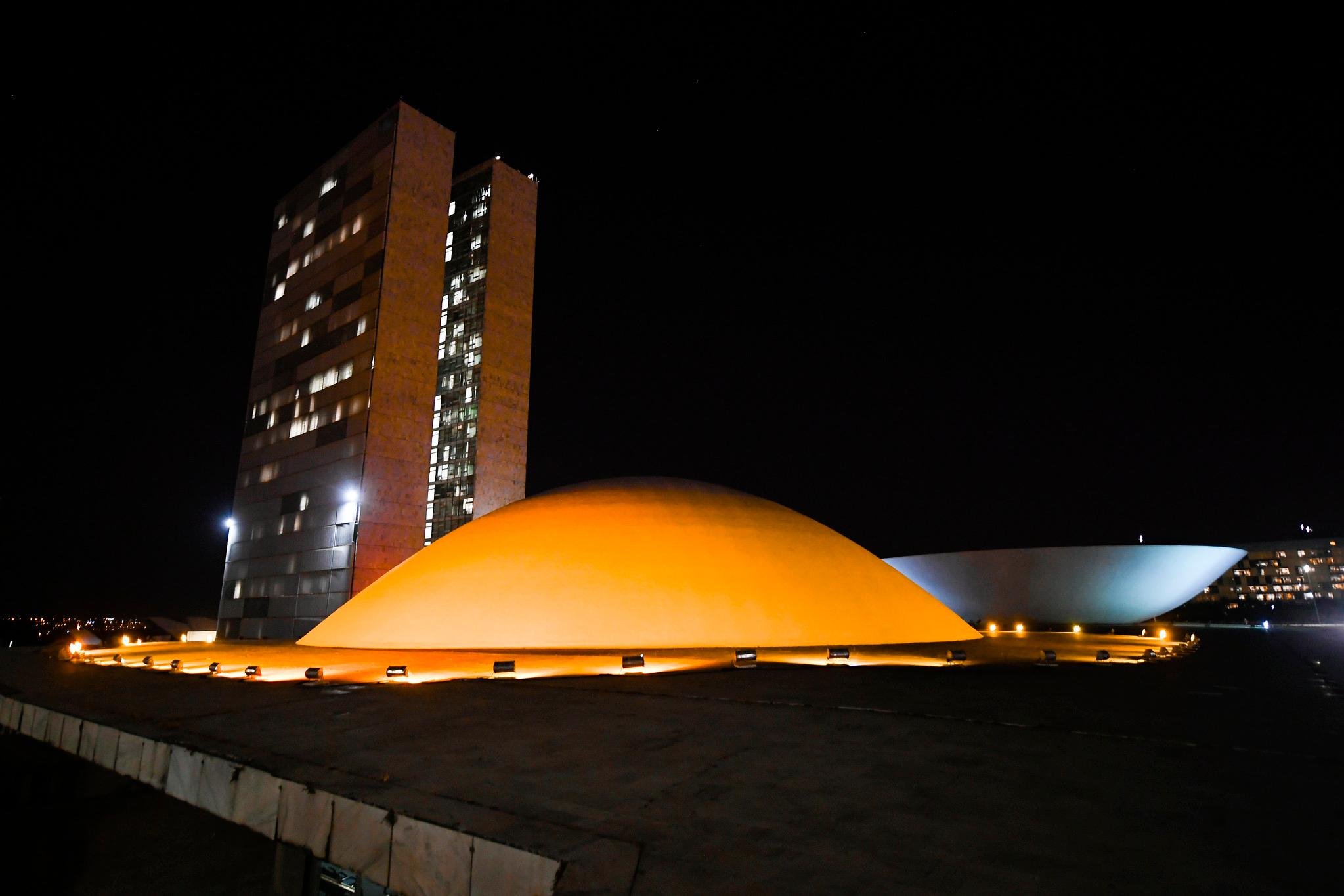 A ilumina&ccedil;&atilde;o especial foi proposta pelo deputado Ricardo Izar (Republicanos-SP)