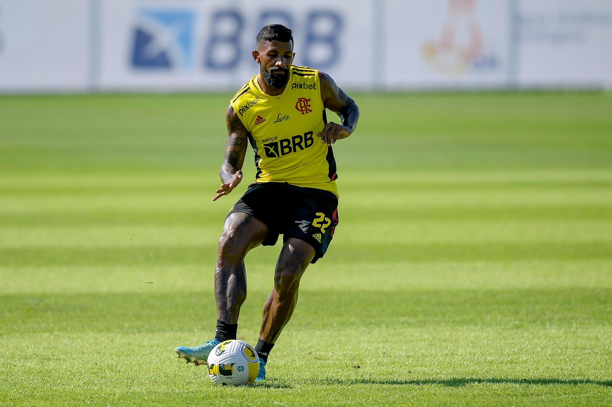 Rodinei tem contrato com o Flamengo at&eacute; o final deste ano