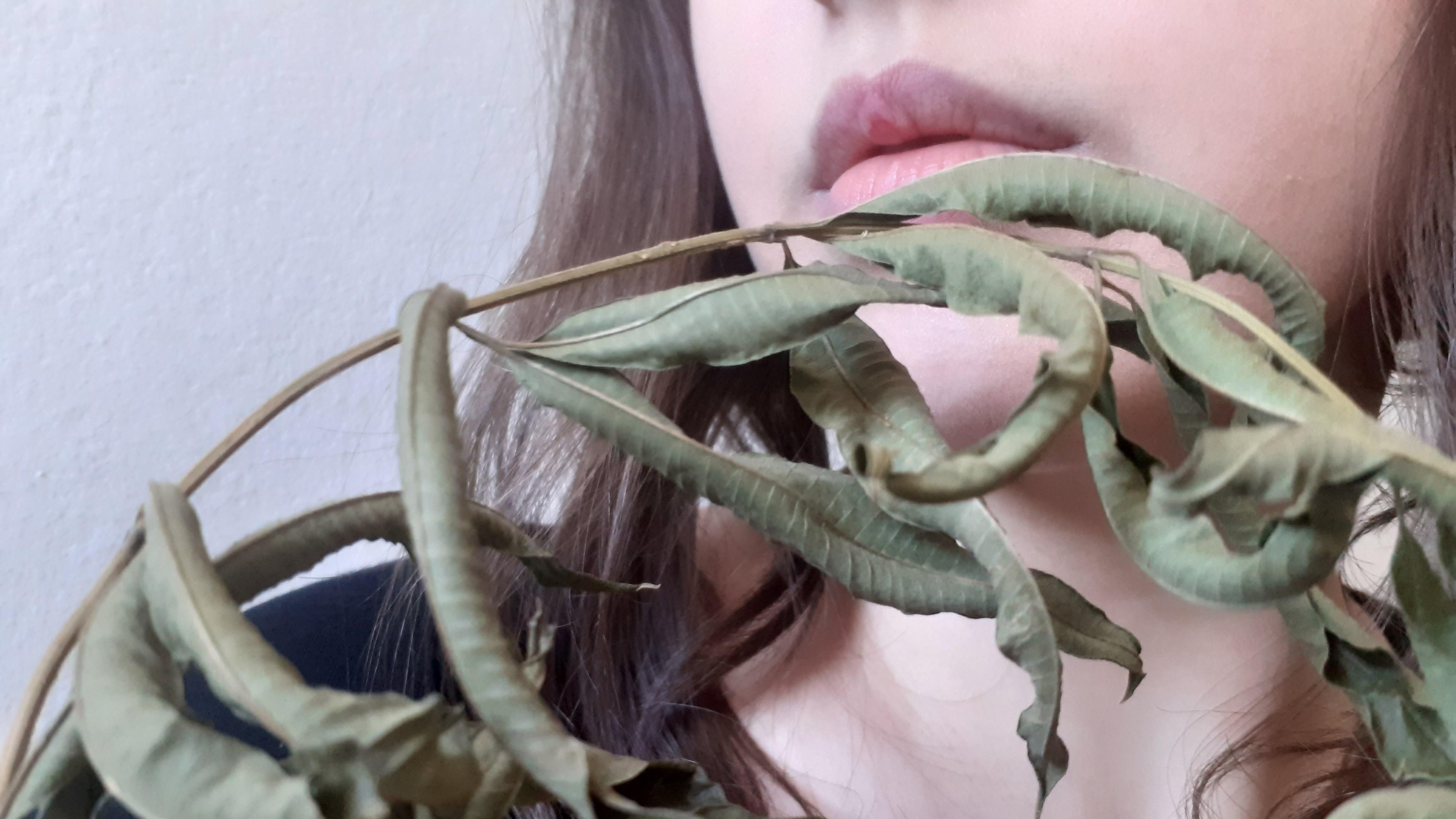 Espet&aacute;culo tamb&eacute;m se inspira em elementos da natureza e em sua capacidade de renova&ccedil;&atilde;o e resist&ecirc;ncia.