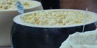 Evento oferece 40 variedades de queijo para degustação
