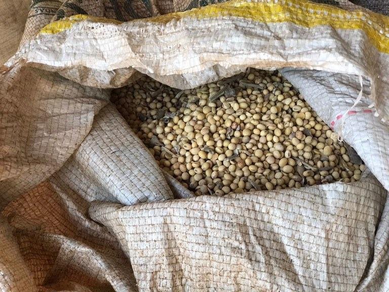 Fiscais agropecu&aacute;rios recolheram mais de 13 toneladas de soja e milho na a&ccedil;&atilde;o