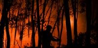 Portugal é um dos países que luta contra devastadores incêndios florestais